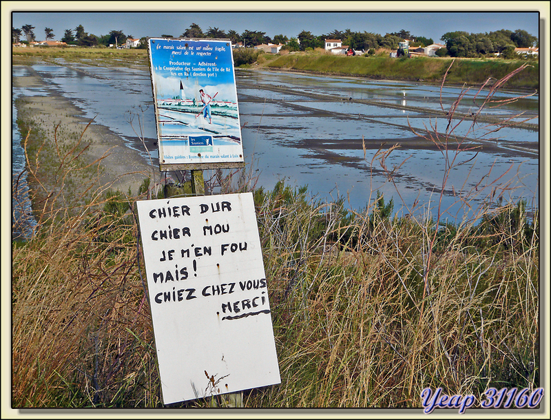 Avertissement : Chier dur, chier mou ... D'accord, mais faire 2 X 520 km chaque jour, NON ! - Ars-en-Ré - Ile de Ré - 17