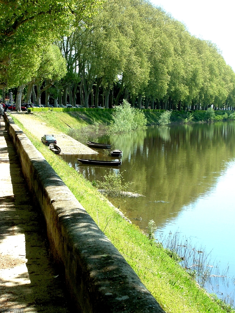 Chinon et ses bords de Vienne « la promenade du Docteur Mattrait en cette période de Mai »