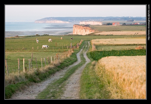 Sotteville sur Mer