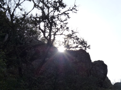 Grotte du Védi