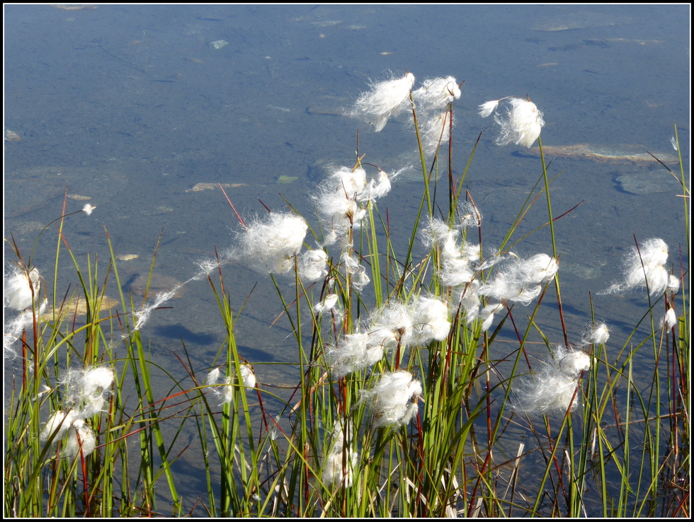 En Haute-Maurienne : Le lac Blanc et le refuge : N°2