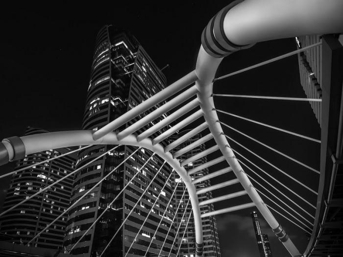 Les plus belles Photos d’Architecture de 2020