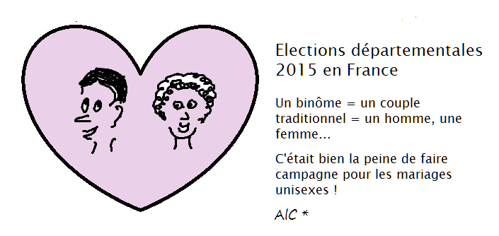 Elections départementales 2015 en France