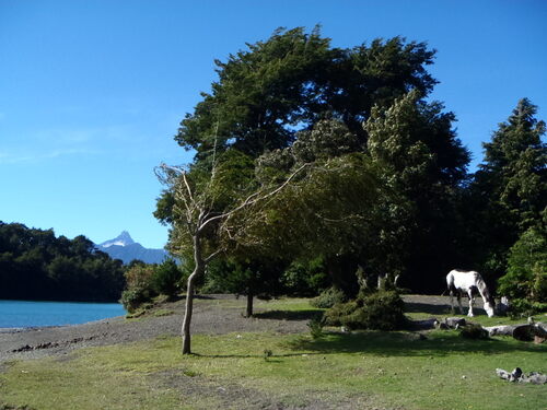 Petrohué et l'île de Chiloé