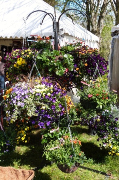 st-jean-de-beauregard---5-avril-2014---flower-basket.jpg