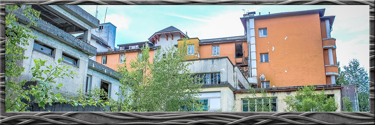 Le sanatorium du koala