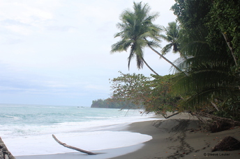 Costa Rica : la côte Pacifique