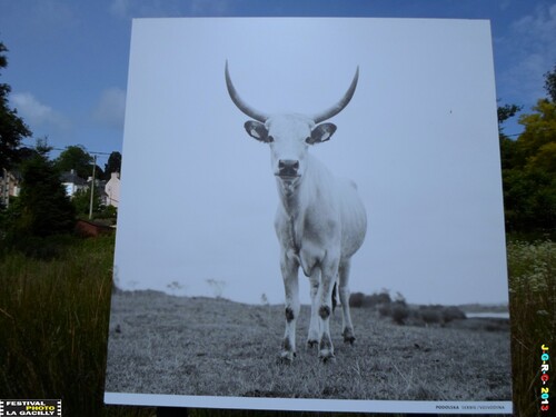 EXPOSITION PHOTO 2013 LA GACILLY  1/2    56 26/09/2013