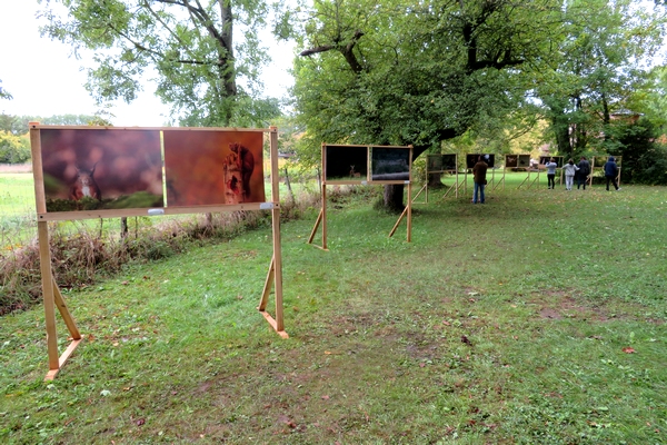 Une exposition de photographies aux Villas du Parc à Vanvey