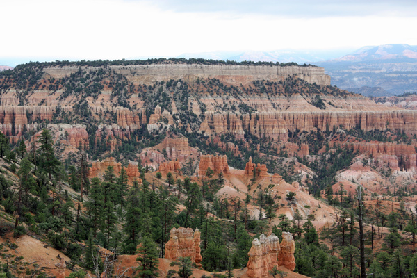 Bienvenue à Bryce Canyon