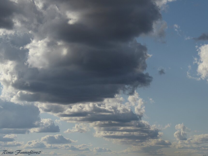 J'aime regarder les nuages,