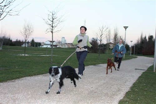 Entraînement Parc de l'échez