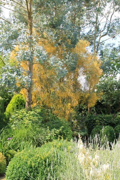 Le jardin de la Mansonnière