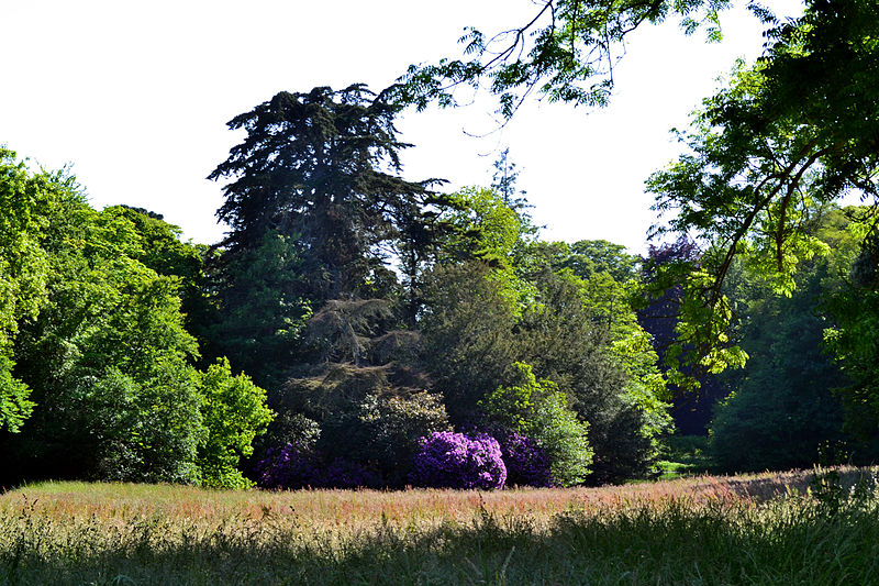 Domaine de Kernévez