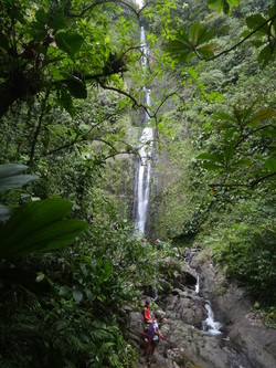 Les chutes Moreau