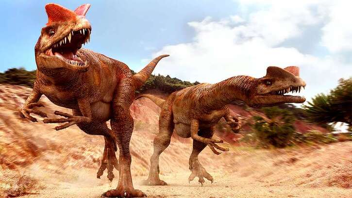Les Dinosaures 2:  Top 10 des dinosaures que vous ne voudriez jamais croiser