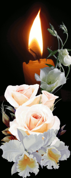 dreamies.de (ha940mgb0uo.gif) | Fleurs animées, Belle rose, Gif fleurs