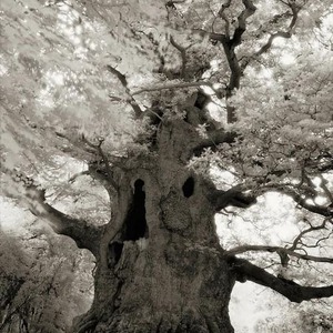 Beth Moon