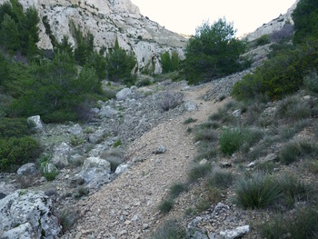 Le sentier du Vallon Mestrallet, dans l'ombre à cette époque de l'année