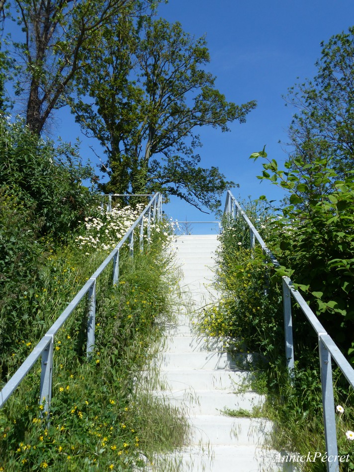 Retour dans la Citadelle