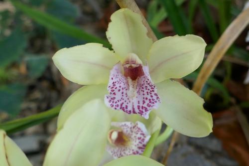 Le cartoscope du lundi 7 novembre 2022