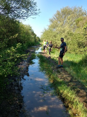 Trail du Bord de Mer - Arzon - Dimanche 21 avril 2019