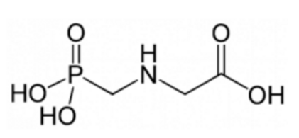 Adieu cher RoudUp au glyphosphate !