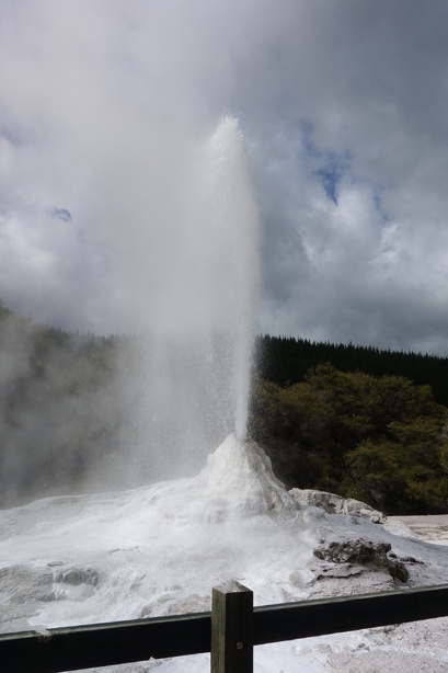 les volcans de Rotorua 