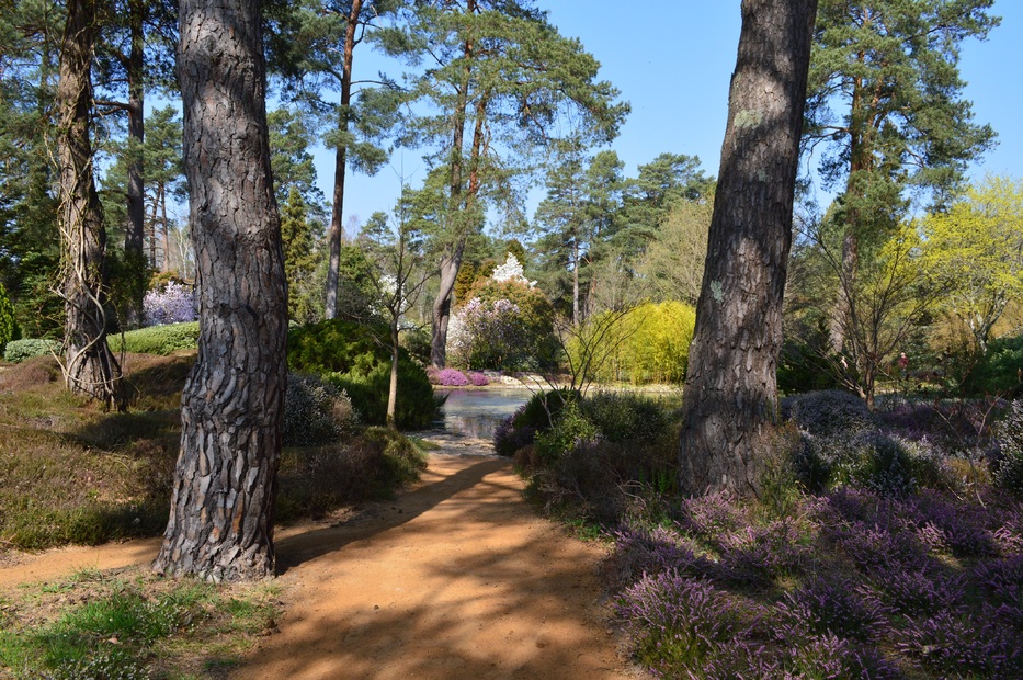 Arboretum des Grandes Bruyères