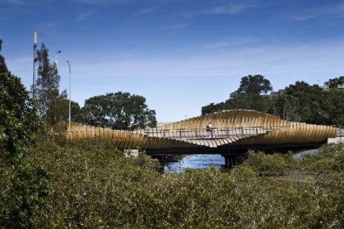 Onepoto bridge: landscape poetry (Auckland, New-Zealand)