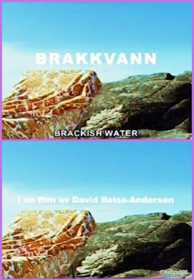 Brakkvann / Brackish Water. 2007.