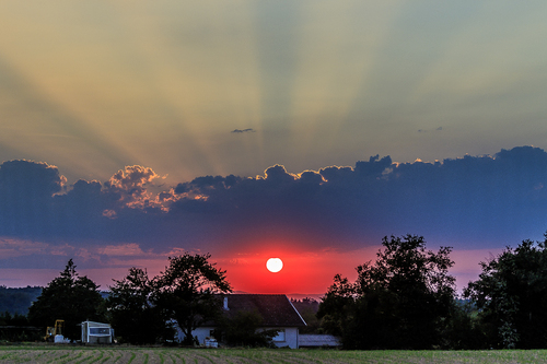 CPUCHER DE SOLEIL