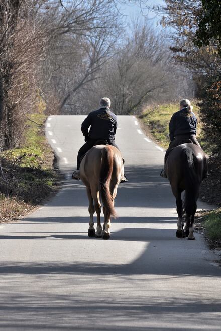 2019.02.20 Autour du village de Tavernolles 1