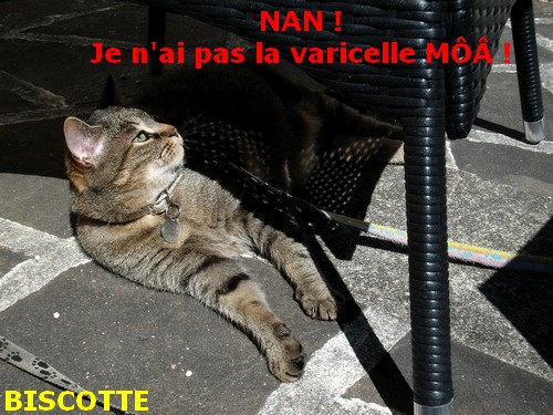 Varicelle ou allergie ? .....!!!