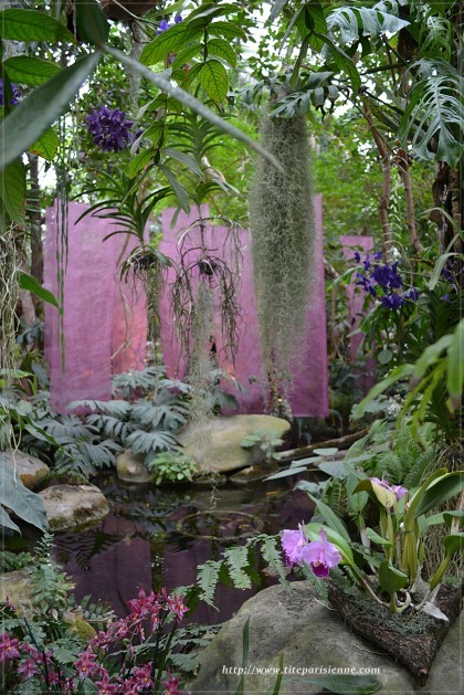 Jardin des Plantes 1 000 orchidées 4