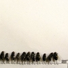 Les mouches- aléopopopop