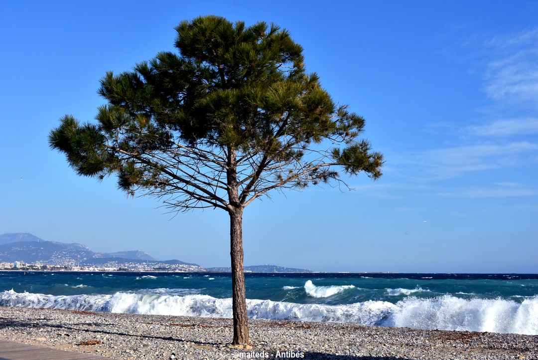 Couleurs de la mer - Antibes