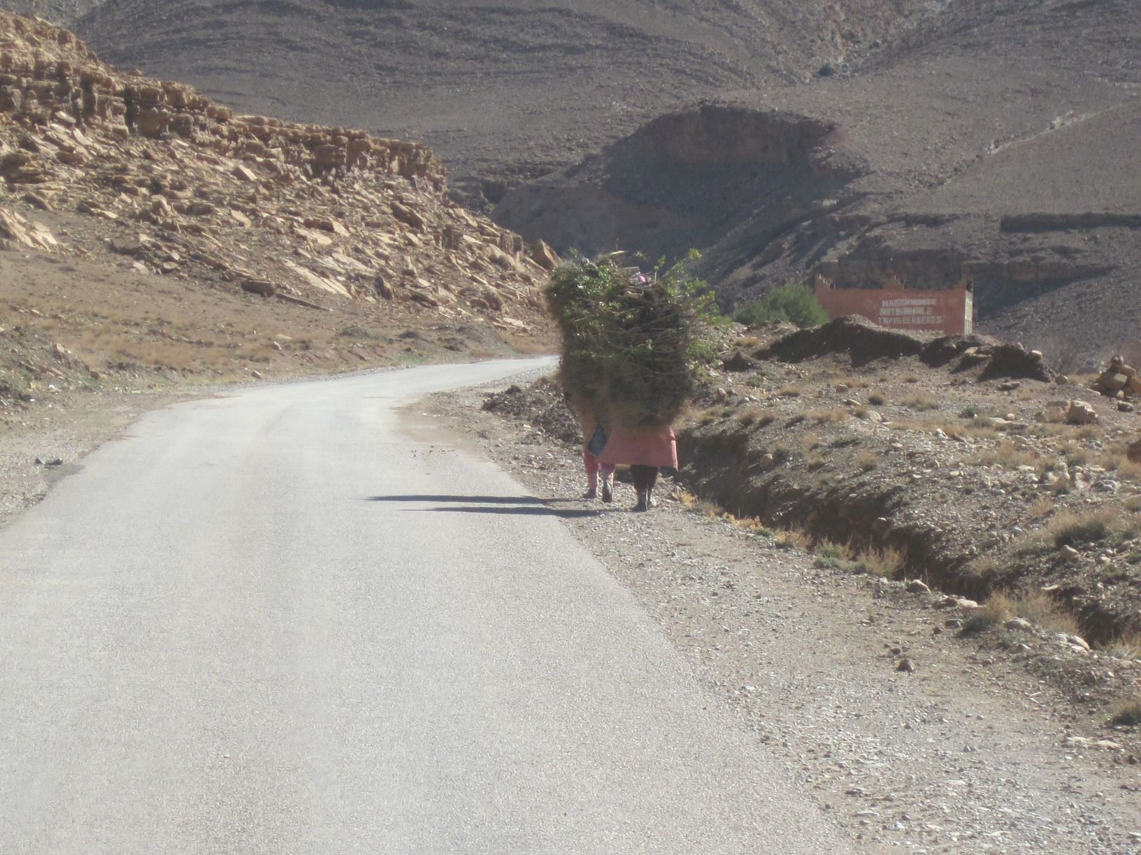 Gorges du Todra