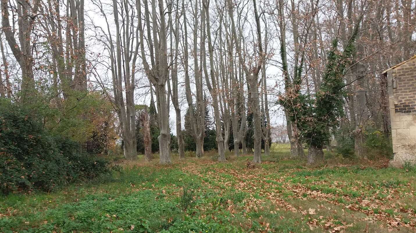 Château fut un espoir hotelier