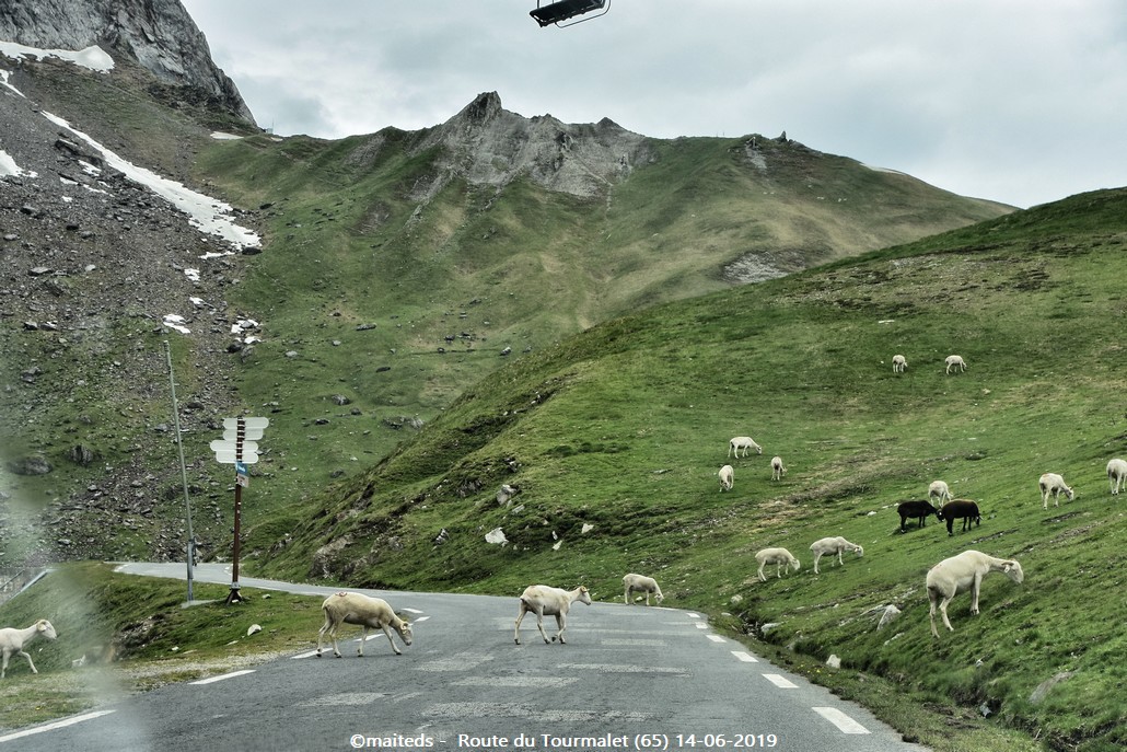 Sur la route du Tourmalet (65)