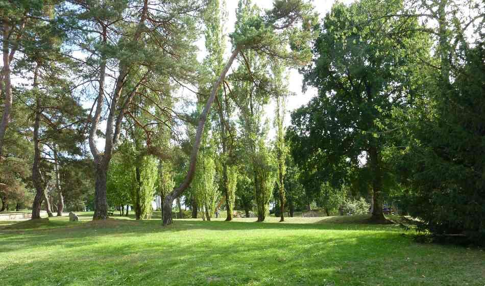 Aire de loisirs des Brandes à Soyaux