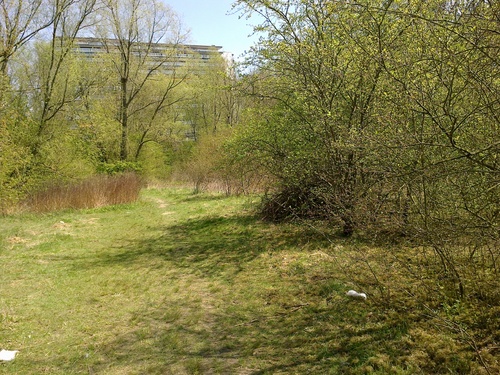 Woluwe-Saint-Lambert, tes espaces verts se transforment en désert