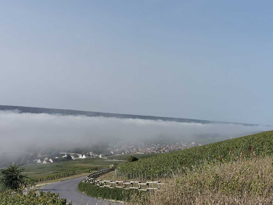 Le brouillard sur la Marne ressemble à un nuage de crème chantilly 