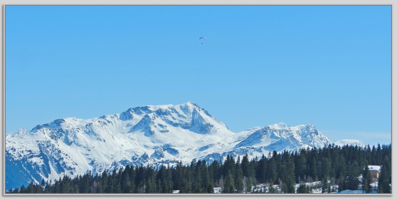 DERNIERS  ENNEIGEMENT DES SAISIES