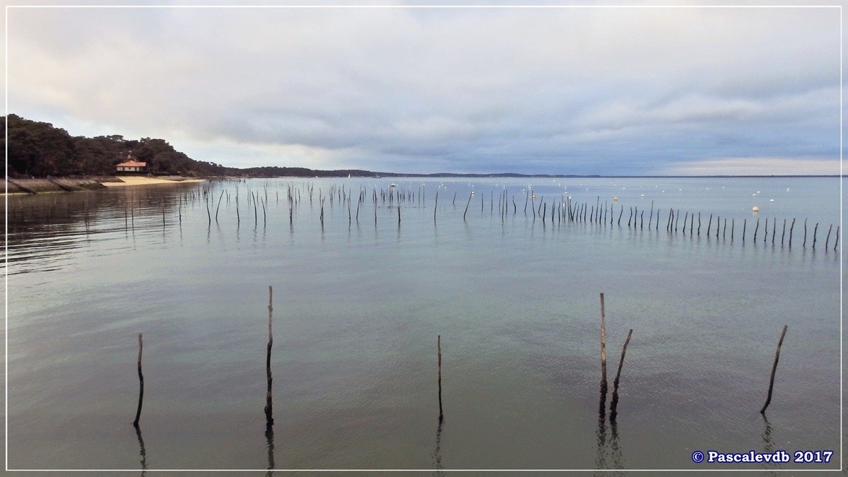 Traversée du Bassin entre Arcachon et le Cap Ferret - 11/14