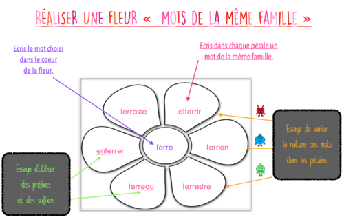 LES FAMILLES DE MOTS