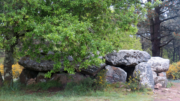 Les Mégalithes d'Erdeven (2)