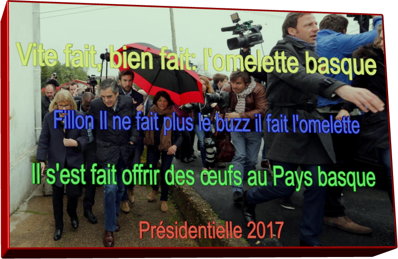 Présidentielle 2017 (Humour)