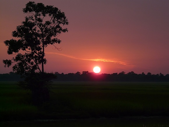 un beau coucher de soleil