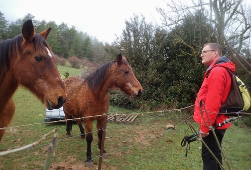 Du Bufarel aux Caucalières